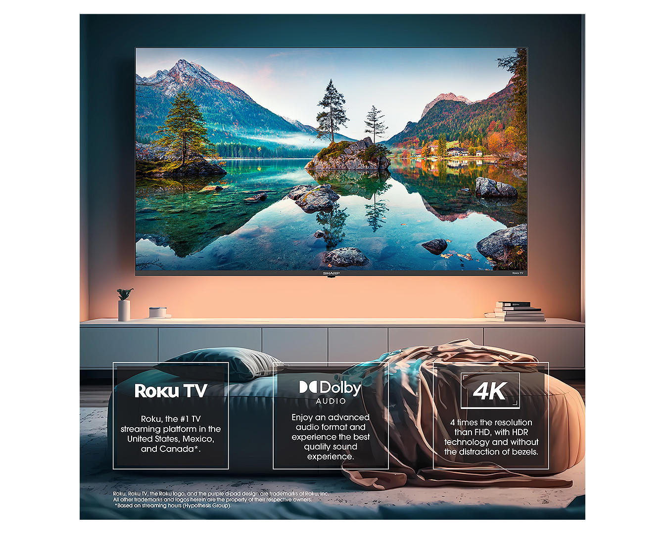 4T-C65EL8UR features
