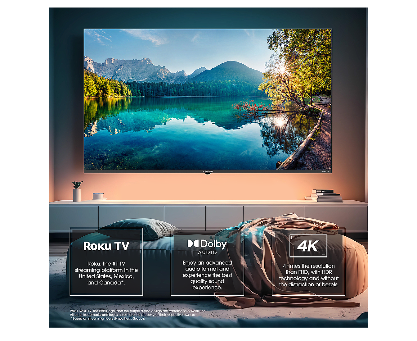 4T-C58EL8UR features