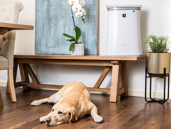 Understanding Indoor Air Quality